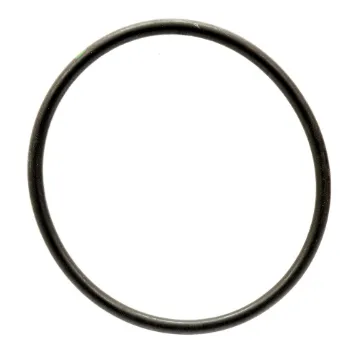 Agrinautics O Ring Filtro "T"