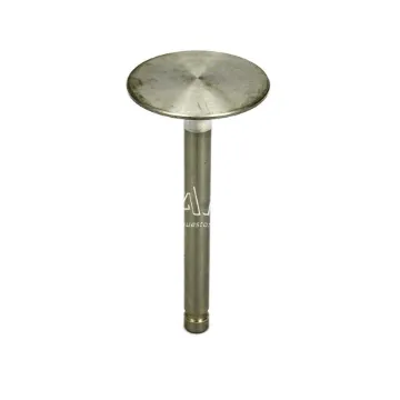 Lycoming Válvula Admisión 11901