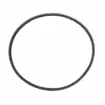 539547-31.19_NE_1.jpg