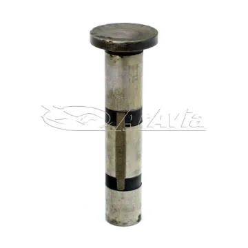 Continental Cuerpo de Botador (USADO)