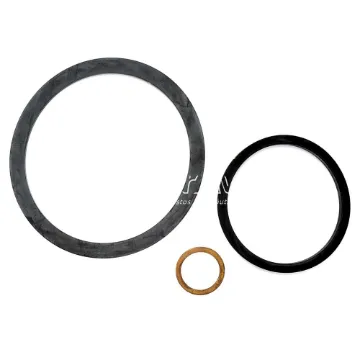 Champion Kit de Juntas de Filtro de Aceite (NSD)