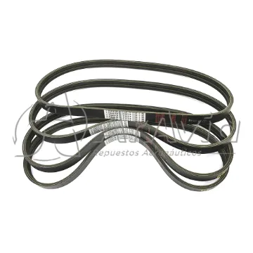 Robinson Set de Correas R44