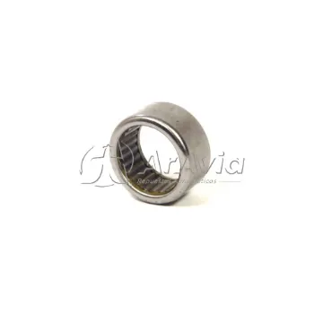 Timken Rodamiento Patín Cola