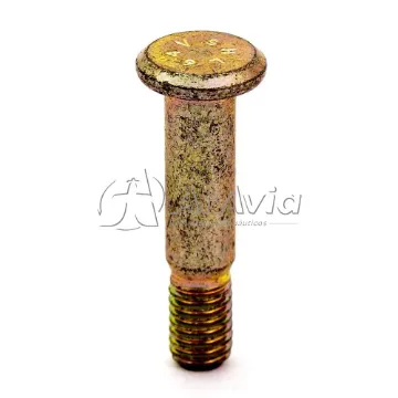 Tornillo (NSD)