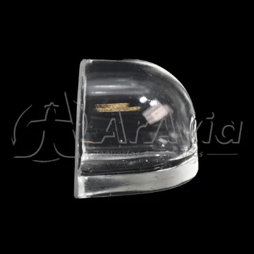 Tulipa Strobe