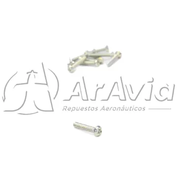 Champion Tornillo Tapa Magneto