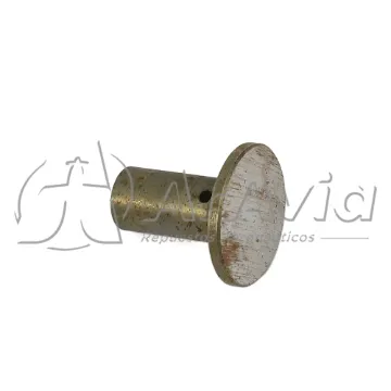 Continental Plunger Presión Aceite