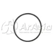 99591_NE_1.jpg