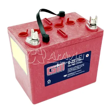 Aravia Batería 12v Con Electrolito