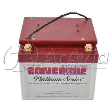 Concorde Batería 24v