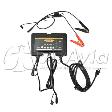 Tester y Mantenimiento para Baterías de 24V