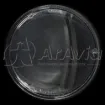 P36LENS_NE_2.jpg