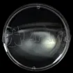 P46LENS_NE_2.jpg