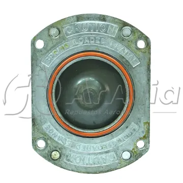 Hartzell Engine Technologies Válvula (USADO)